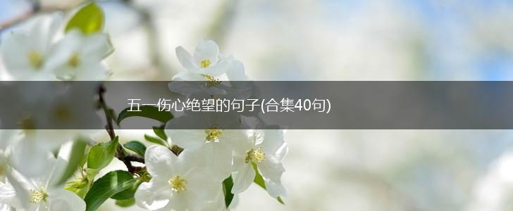 五一伤心绝望的句子(合集40句),第1张