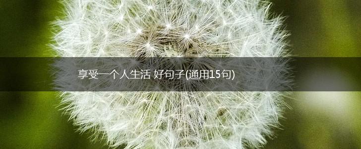 享受一个人生活 好句子(通用15句),第1张