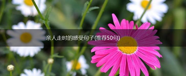 亲人走时的感受句子(推荐50句),第1张