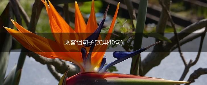 乘客组句子(实用40句),第1张