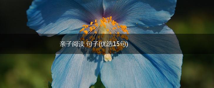亲子阅读 句子(优选15句),第1张
