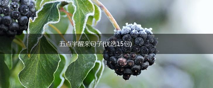 五点半醒来句子(优选15句),第1张