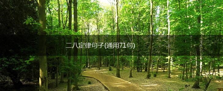 二八定律句子(通用71句),第1张