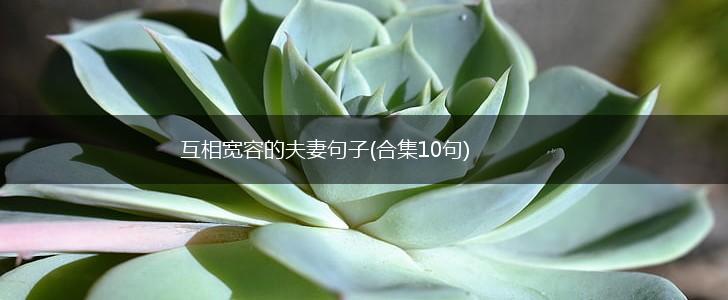 互相宽容的夫妻句子(合集10句),第1张