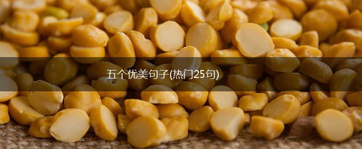 五个优美句子(热门25句),第1张