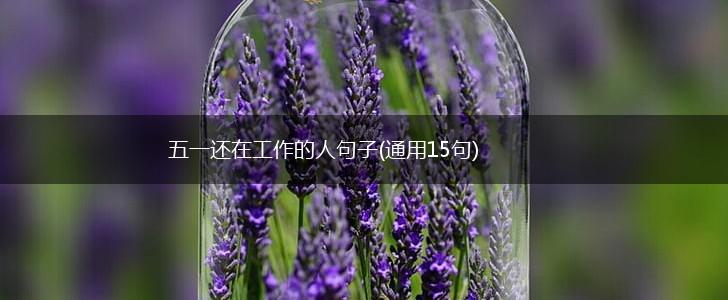 五一还在工作的人句子(通用15句),第1张