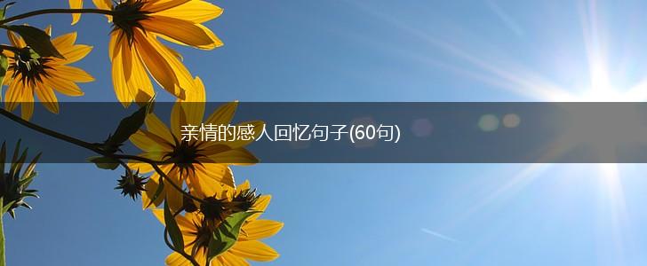 亲情的感人回忆句子(60句),第1张