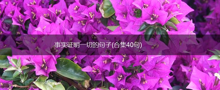 事实证明一切的句子(合集40句),第1张