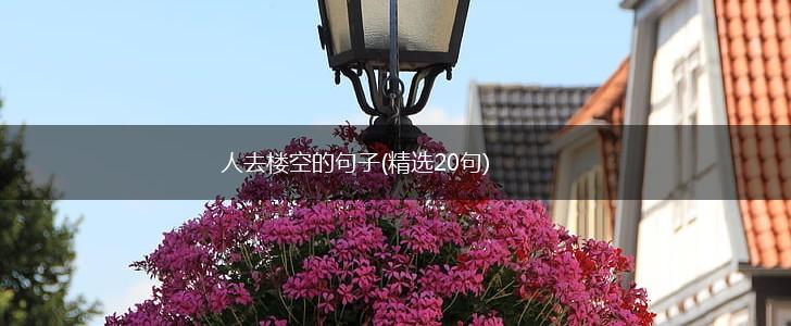 人去楼空的句子(精选20句),第1张