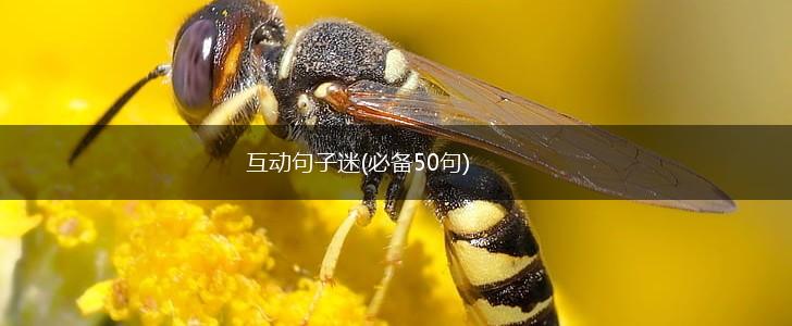 互动句子迷(必备50句),第1张