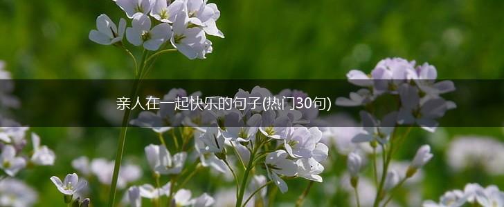 亲人在一起快乐的句子(热门30句),第1张