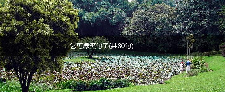 乞丐爆笑句子(共80句),第1张