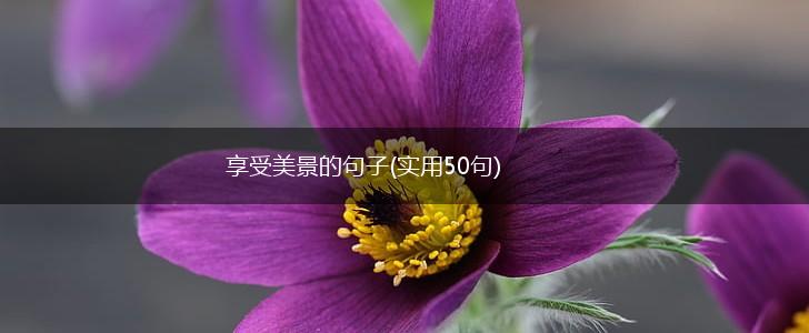 享受美景的句子(实用50句),第1张