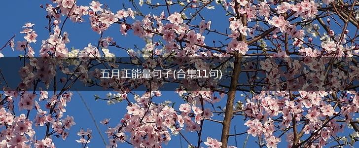 五月正能量句子(合集11句),第1张