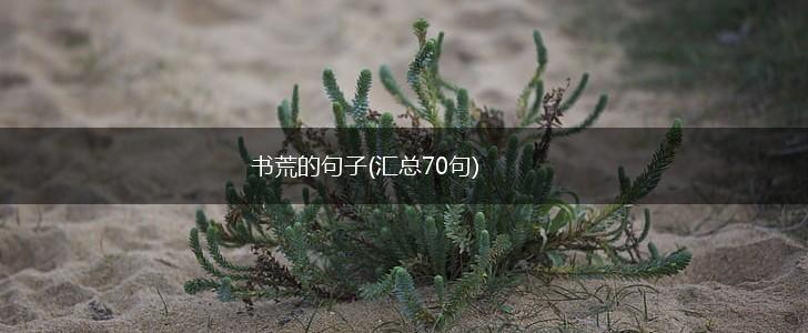 书荒的句子(汇总70句),第1张