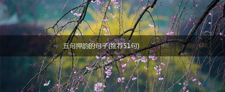 五句押韵的句子(推荐51句),第1张
