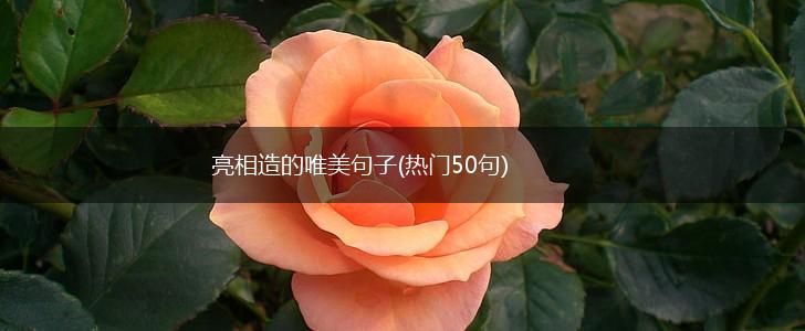 亮相造的唯美句子(热门50句),第1张
