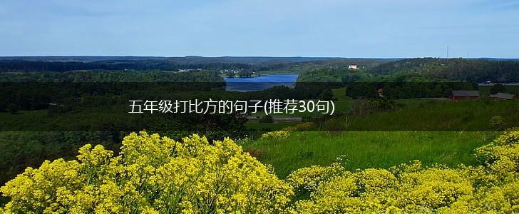 五年级打比方的句子(推荐30句),第1张
