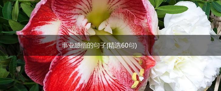 事业感悟的句子(精选60句),第1张