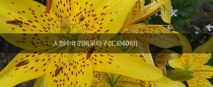 人到中年的风采句子(汇总60句),第1张