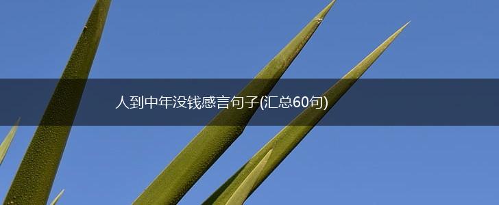 人到中年没钱感言句子(汇总60句),第1张