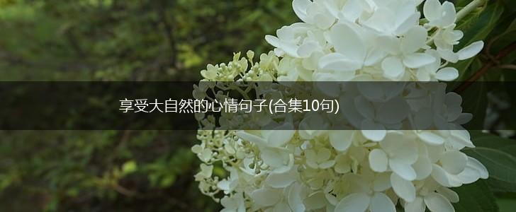 享受大自然的心情句子(合集10句),第1张