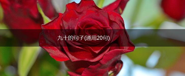九十的句子(通用20句),第1张
