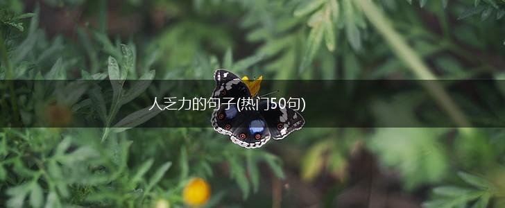 人乏力的句子(热门50句),第1张