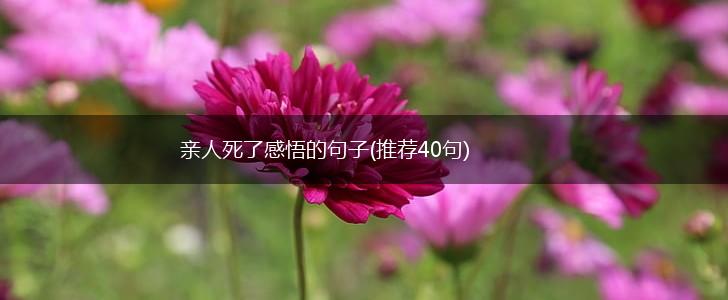 亲人死了感悟的句子(推荐40句),第1张