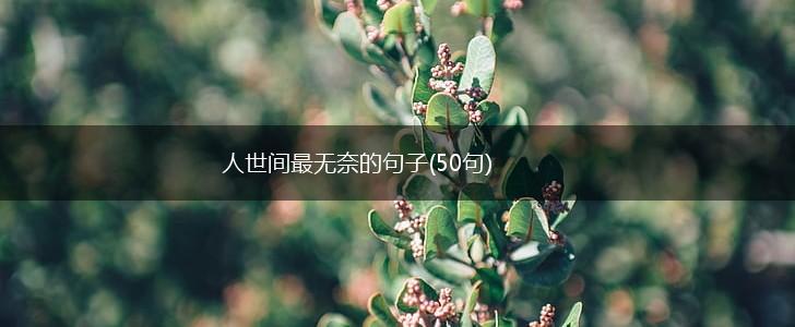 人世间最无奈的句子(50句),第1张