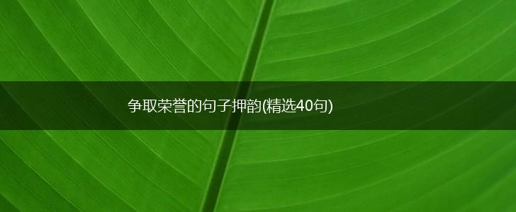 争取荣誉的句子押韵(精选40句),第1张