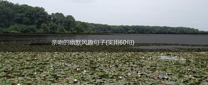 亲吻的幽默风趣句子(实用60句),第1张