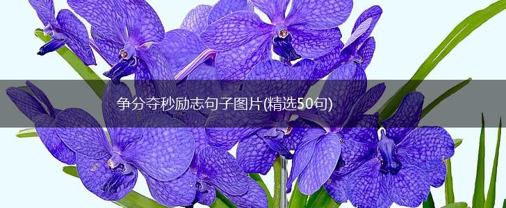 争分夺秒励志句子图片(精选50句),第1张