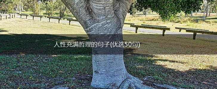 人性充满哲理的句子(优选50句),第1张