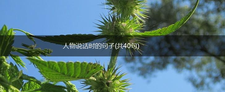 人物说话时的句子(共40句),第1张