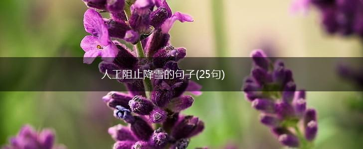 人工阻止降雪的句子(25句),第1张