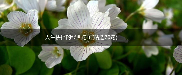 人生抉择的经典句子(精选70句),第1张