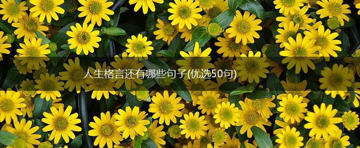 人生格言还有哪些句子(优选50句),第1张