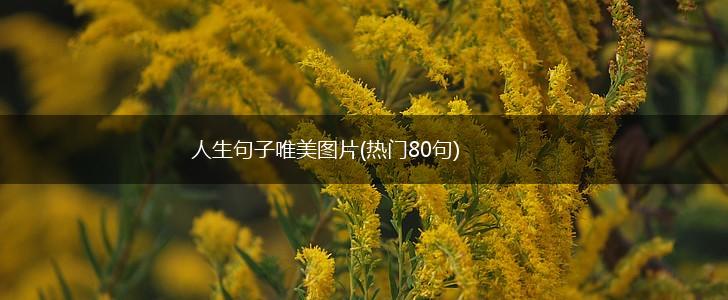 人生句子唯美图片(热门80句),第1张