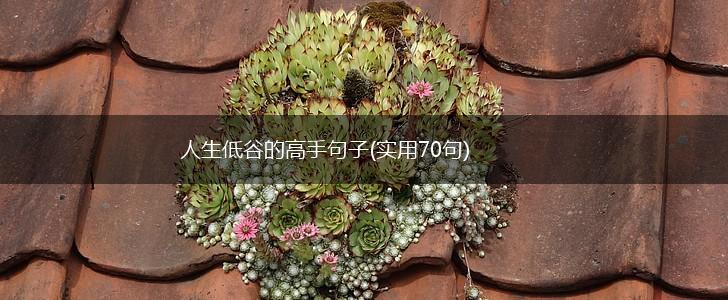 人生低谷的高手句子(实用70句),第1张