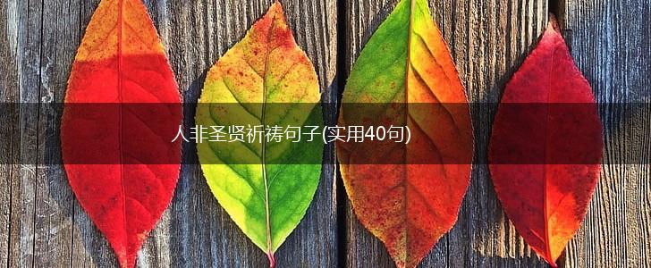 人非圣贤祈祷句子(实用40句),第1张