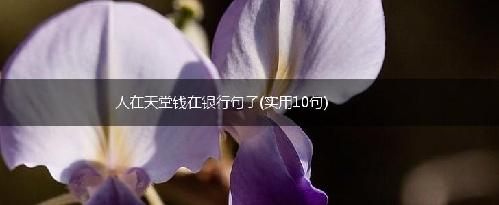 人在天堂钱在银行句子(实用10句),第1张