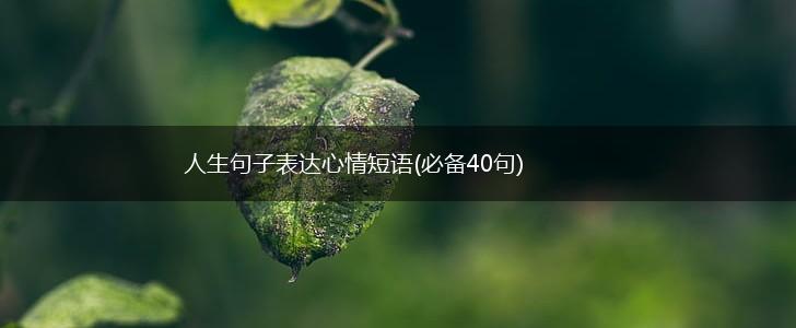 人生句子表达心情短语(必备40句),第1张