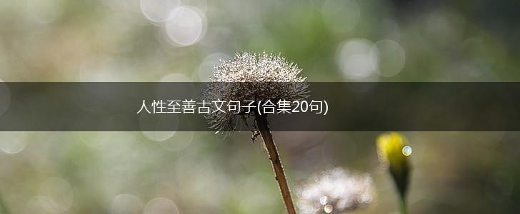 人性至善古文句子(合集20句),第1张