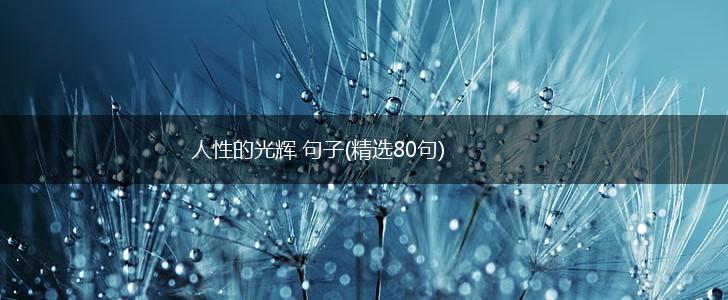 人性的光辉 句子(精选80句),第1张