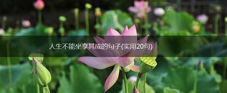 人生不能坐享其成的句子(实用20句),第1张