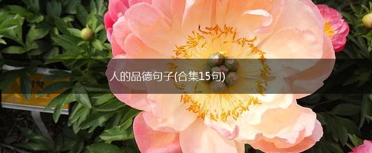 人的品德句子(合集15句),第1张 人的品德句子(合集15句),第1张