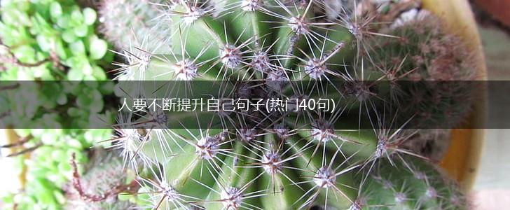 人要不断提升自己句子(热门40句),第1张