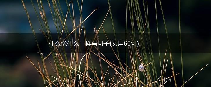 什么像什么一样写句子(实用60句),第1张