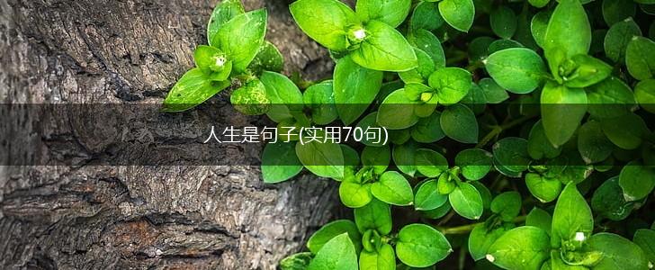 人生是句子(实用70句),第1张